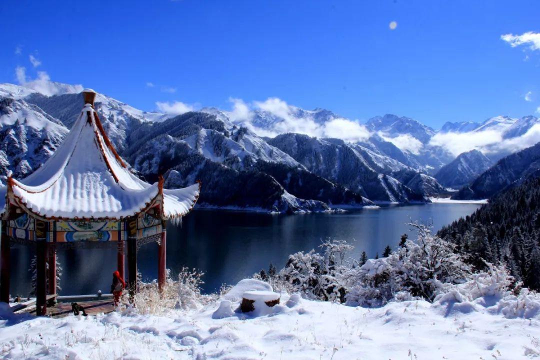 网上大胃王的视频中真的能吃得下那么多东西吗？游戏画面